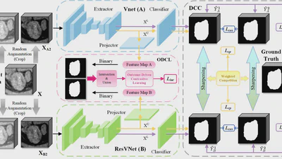 C3S3: Complementary Competition and Contrastive Selection for Semi-Supervised Medical Image Segmentation featured image